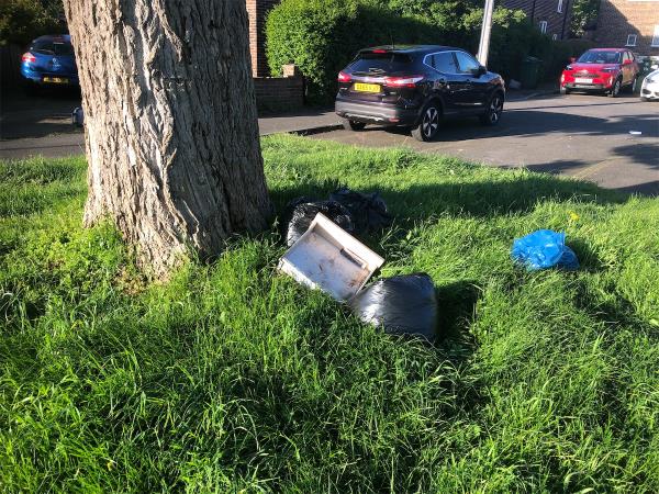 Please clear flytip from grass area-224 Brookehowse Road, Bellingham, London, SE6 3TR