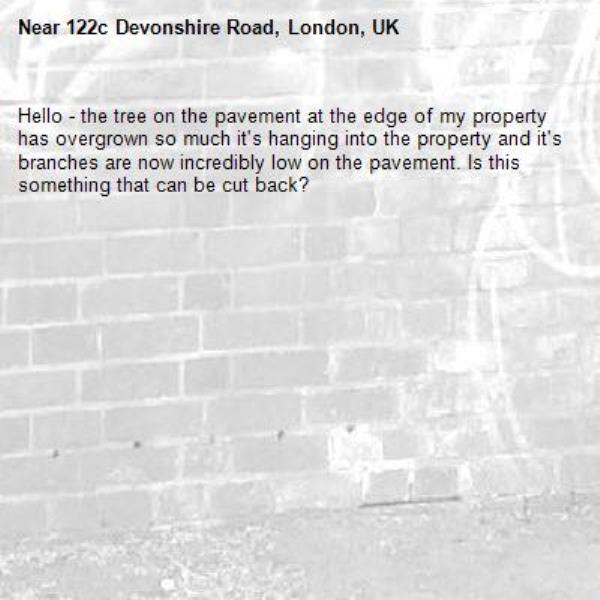 Hello - the tree on the pavement at the edge of my property has overgrown so much it's hanging into the property and it's branches are now incredibly low on the pavement. Is this something that can be cut back?-122c Devonshire Road, London, UK
