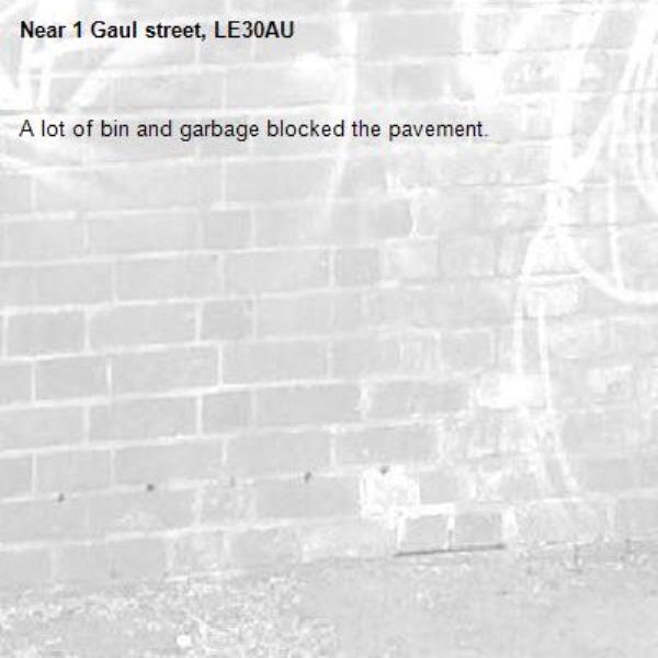 A lot of bin and garbage blocked the pavement. -1 Gaul street, LE30AU 