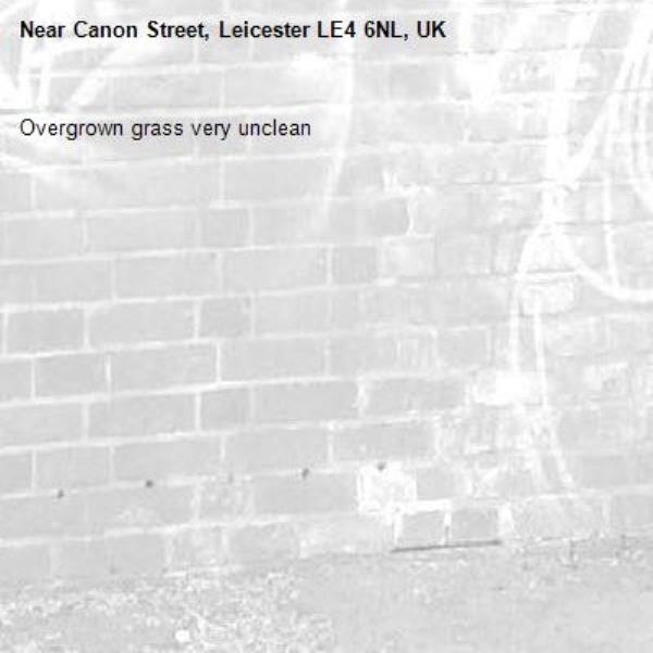 Overgrown grass very unclean-Canon Street, Leicester LE4 6NL, UK