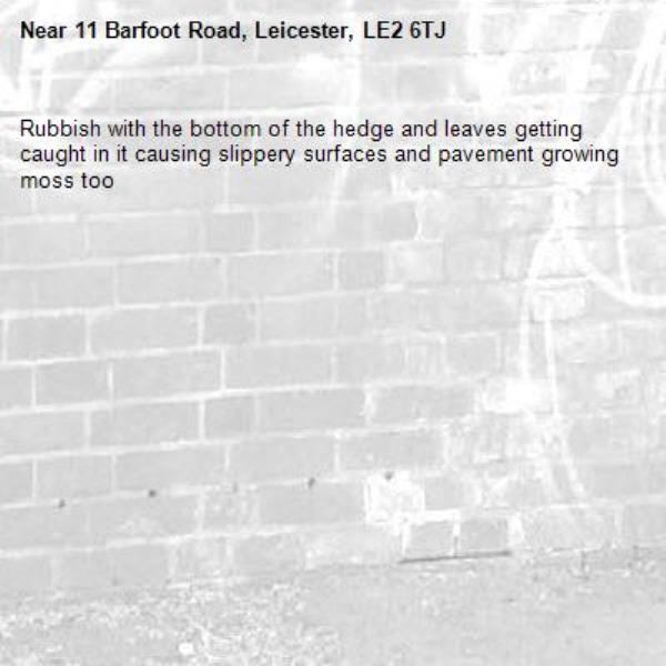 Rubbish with the bottom of the hedge and leaves getting caught in it causing slippery surfaces and pavement growing moss too -11 Barfoot Road, Leicester, LE2 6TJ