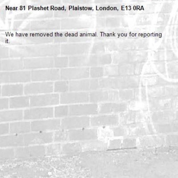 We have removed the dead animal. Thank you for reporting it.-81 Plashet Road, Plaistow, London, E13 0RA