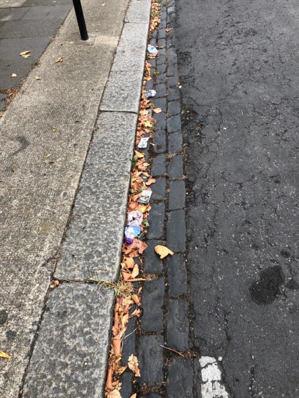 Streets need a sweep- rubbish everywhere -33 Knighton Road, London, E7 0EE
