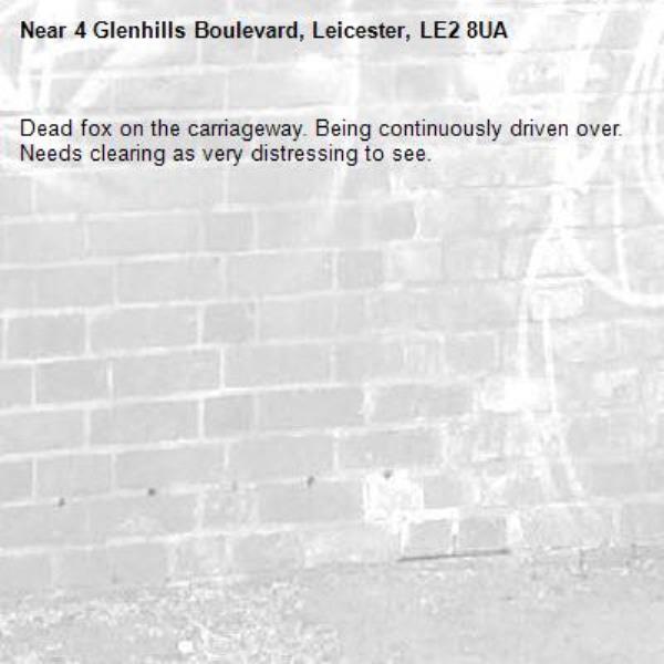 Dead fox on the carriageway. Being continuously driven over. Needs clearing as very distressing to see.-4 Glenhills Boulevard, Leicester, LE2 8UA