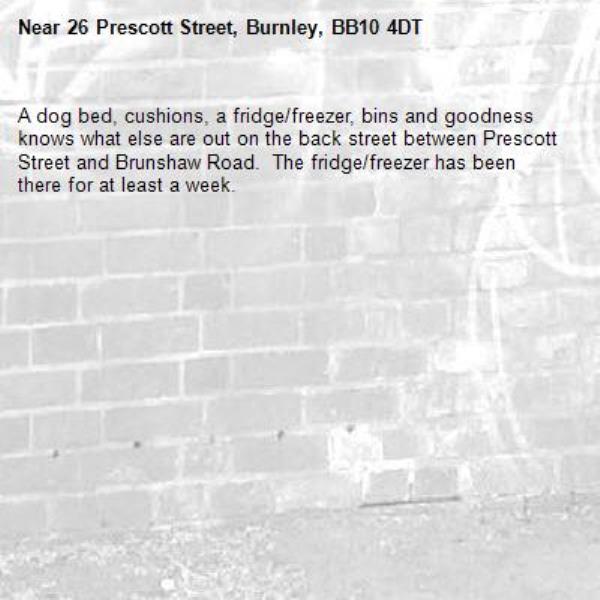 A dog bed, cushions, a fridge/freezer, bins and goodness knows what else are out on the back street between Prescott Street and Brunshaw Road.  The fridge/freezer has been there for at least a week.-26 Prescott Street, Burnley, BB10 4DT