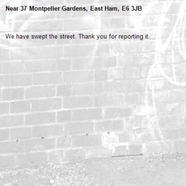 We have swept the street. Thank you for reporting it.-37 Montpelier Gardens, East Ham, E6 3JB