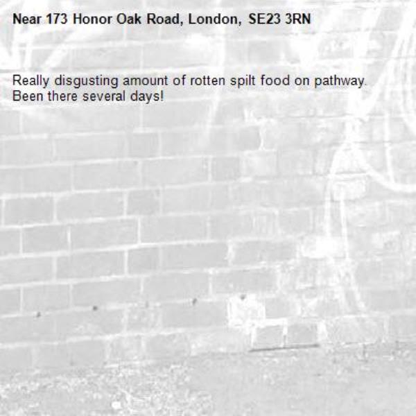 Really disgusting amount of rotten spilt food on pathway. Been there several days! -173 Honor Oak Road, London, SE23 3RN