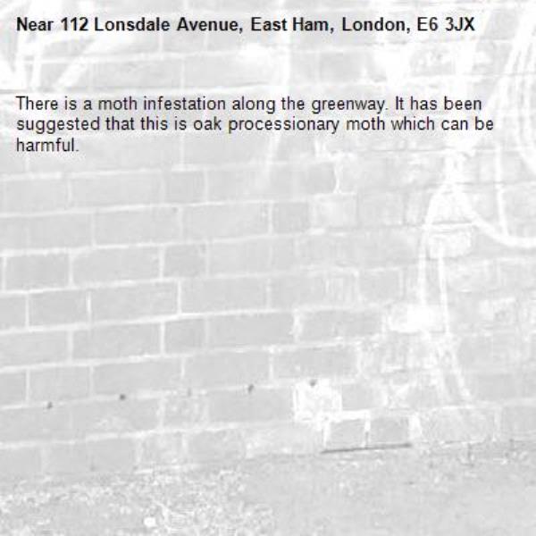 There is a moth infestation along the greenway. It has been suggested that this is oak processionary moth which can be harmful.-112 Lonsdale Avenue, East Ham, London, E6 3JX