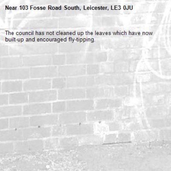 The council has not cleaned up the leaves which have now built-up and encouraged fly-tipping. -103 Fosse Road South, Leicester, LE3 0JU