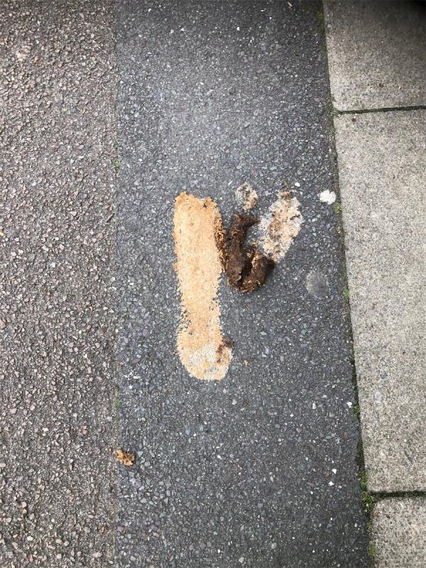 Between Whitefoot lane and the barrier on Longhill Road. Please clear dog fouling-148 Longhill Road, London, SE6 1UA