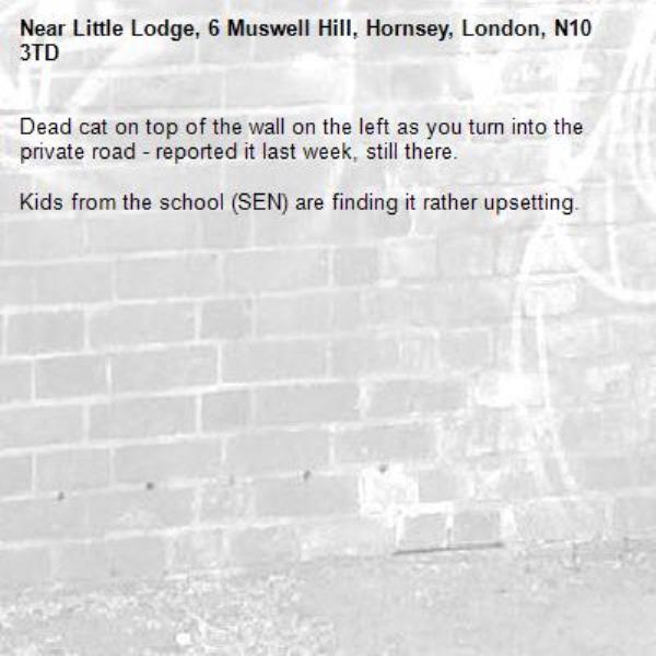 Dead cat on top of the wall on the left as you turn into the private road - reported it last week, still there.

Kids from the school (SEN) are finding it rather upsetting.-Little Lodge, 6 Muswell Hill, Hornsey, London, N10 3TD