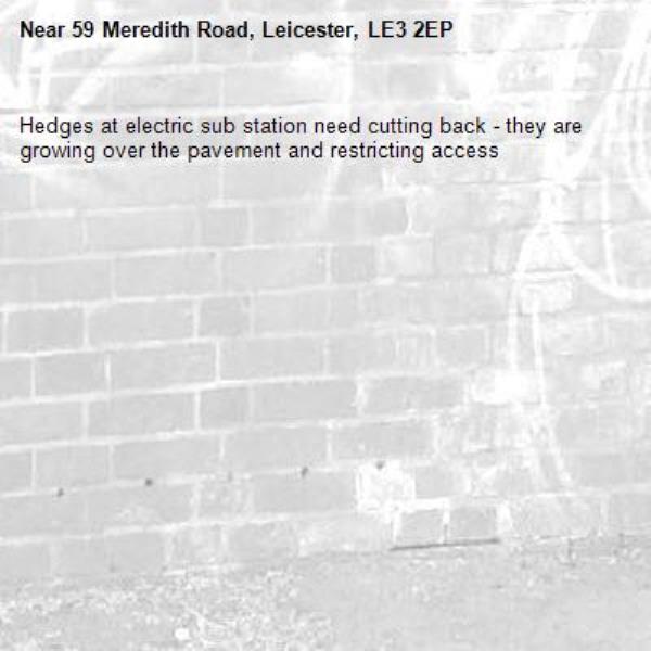 Hedges at electric sub station need cutting back - they are growing over the pavement and restricting access-59 Meredith Road, Leicester, LE3 2EP