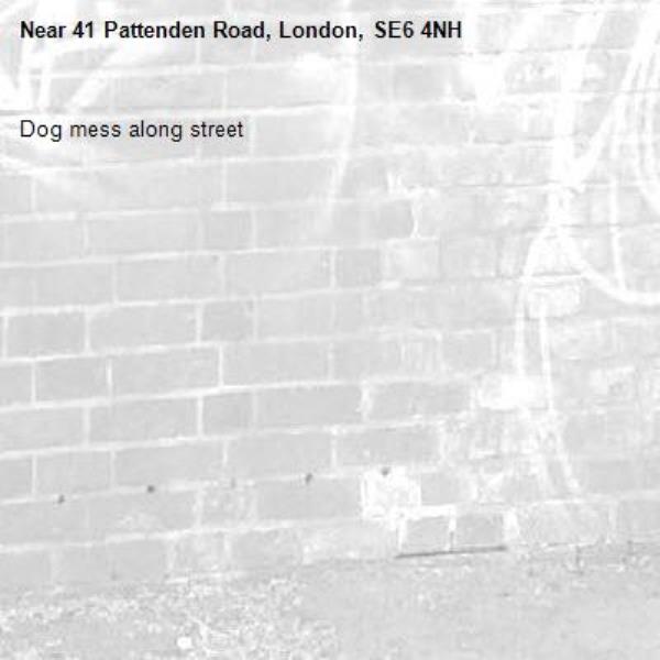 Dog mess along street -41 Pattenden Road, London, SE6 4NH