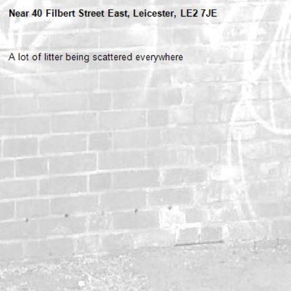 A lot of litter being scattered everywhere -40 Filbert Street East, Leicester, LE2 7JE