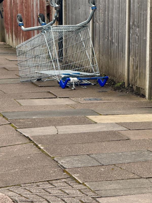 Trolley left on pavement-9 Swainson Road, Leicester, LE4 9DR