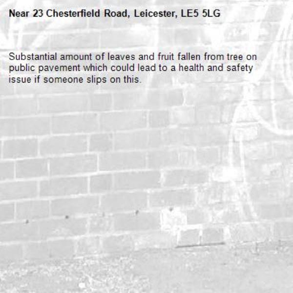 Substantial amount of leaves and fruit fallen from tree on public pavement which could lead to a health and safety issue if someone slips on this.-23 Chesterfield Road, Leicester, LE5 5LG
