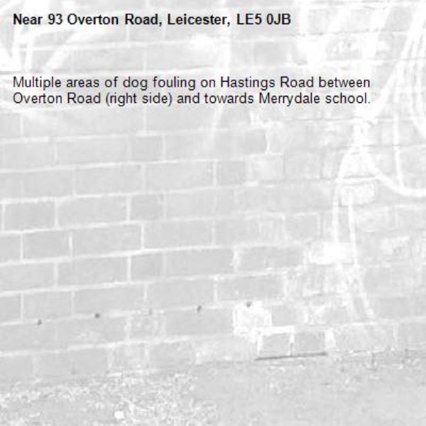 Multiple areas of dog fouling on Hastings Road between Overton Road (right side) and towards Merrydale school.-93 Overton Road, Leicester, LE5 0JB