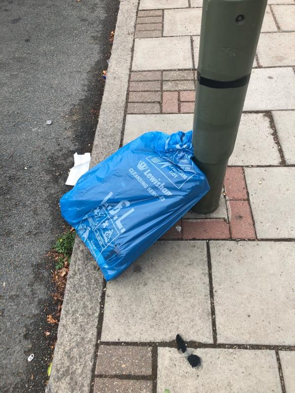 Outside Downham Playing Fields. Please clear a sweepers bag-41 Valeswood Road, Bromley, BR1 4RD