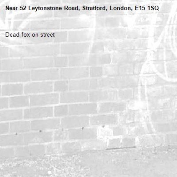 Dead fox on street -52 Leytonstone Road, Stratford, London, E15 1SQ