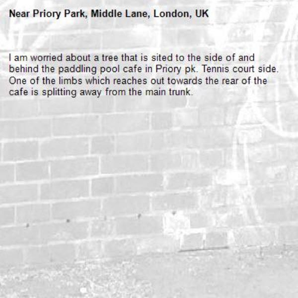 I am worried about a tree that is sited to the side of and behind the paddling pool cafe in Priory pk. Tennis court side.  One of the limbs which reaches out towards the rear of the cafe is splitting away from the main trunk. -Priory Park, Middle Lane, London, UK