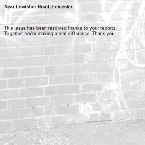 This issue has been resolved thanks to your reports.
Together, we’re making a real difference. Thank you.
-Lewisher Road, Leicester