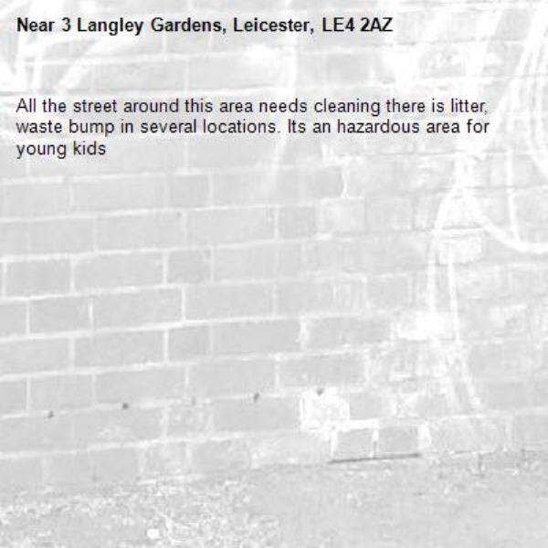 All the street around this area needs cleaning there is litter, waste bump in several locations. Its an hazardous area for young kids-3 Langley Gardens, Leicester, LE4 2AZ