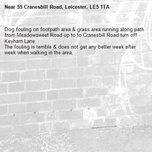 Dog fouling on footpath area &amp; grass area running along path from Meadowsweet Road up to to Cranesbill Road turn off Keyham Lane. 
The fouling is terrible &amp; does not get any better week after week when walking in the area. -55 Cranesbill Road, Leicester, LE5 1TA