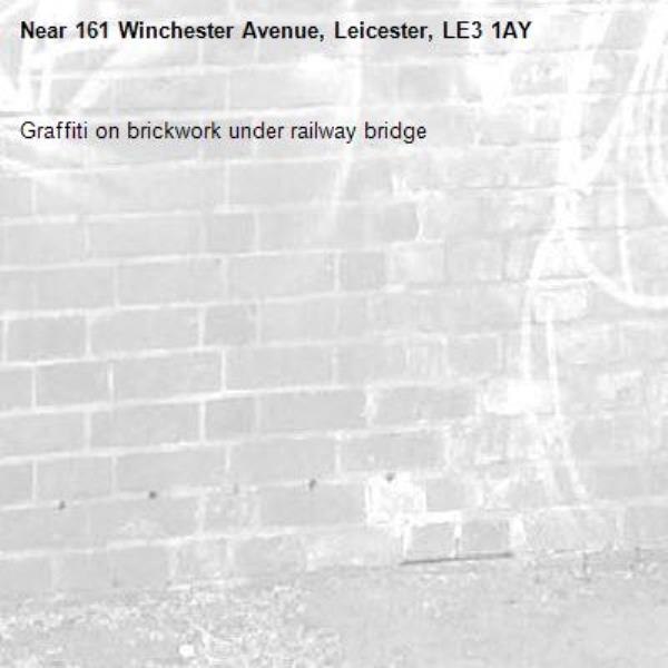 Graffiti on brickwork under railway bridge-161 Winchester Avenue, Leicester, LE3 1AY