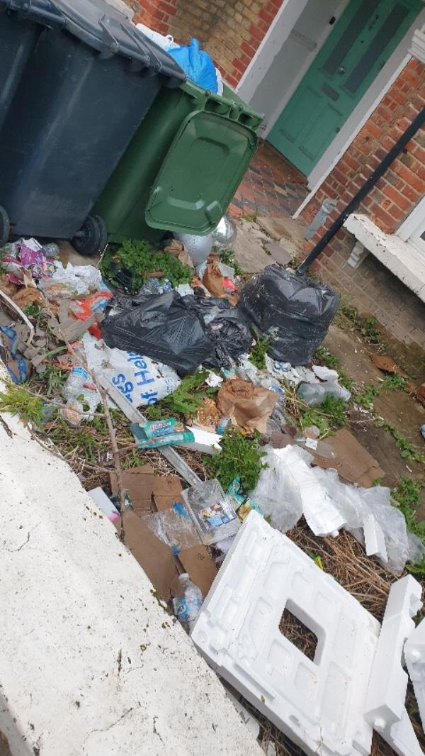 Not sure if property empty or not, but the front garden is a bio hazard with waste everywhere. A playground for foxes and rats. And an eyes sore!!-35 Codrington Hill, London, SE23 1LR