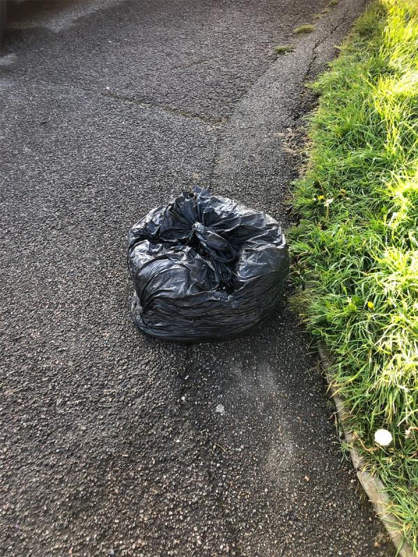By Service Road in to Park. Please clear a black bag-136 Mayeswood Road, Grove Park, London, SE12 9RU