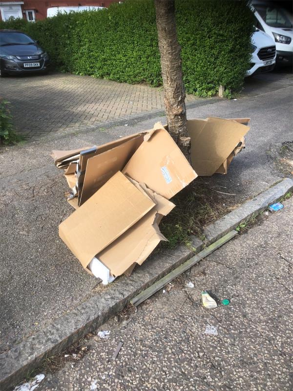 Please clear flytip of cardboard-200 Mayeswood Road, Grove Park, London, SE12 9SB