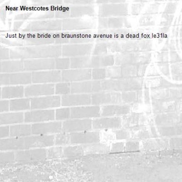 Just by the bride on braunstone avenue is a dead fox le31la -Westcotes Bridge