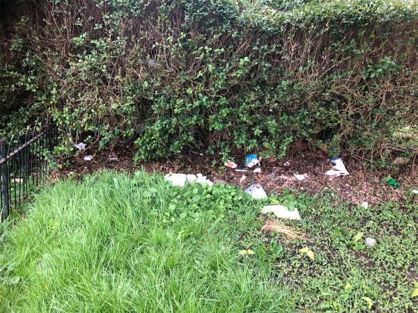 Junction of Bilsby Grove. Please clear litter from grass area-92 Castleton Road, Grove Park, London, SE9 4DA