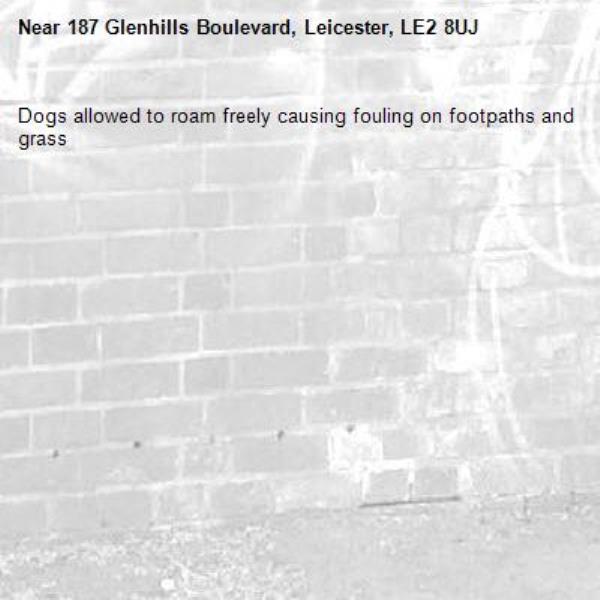 Dogs allowed to roam freely causing fouling on footpaths and grass -187 Glenhills Boulevard, Leicester, LE2 8UJ