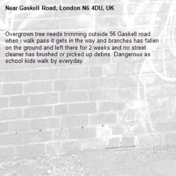 Overgrown tree needs trimming outside 56 Gaskell road. when i walk pass it gets in the way and branches has fallen on the ground and left there for 2 weeks and no street cleaner has brushed or picked up debris. Dangerous as school kids walk by everyday-Gaskell Road, London N6 4DU, UK