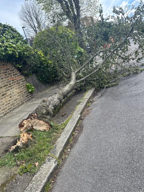 Broken down large tree blocking whole side of pavement-11 Wantage Road, London, SE12 8NA