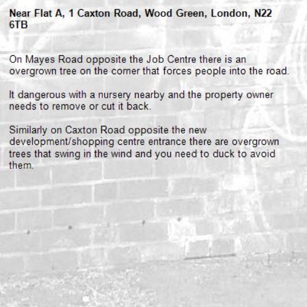 On Mayes Road opposite the Job Centre there is an overgrown tree on the corner that forces people into the road. 

It dangerous with a nursery nearby and the property owner needs to remove or cut it back. 

Similarly on Caxton Road opposite the new development/shopping centre entrance there are overgrown trees that swing in the wind and you need to duck to avoid them. -Flat A, 1 Caxton Road, Wood Green, London, N22 6TB