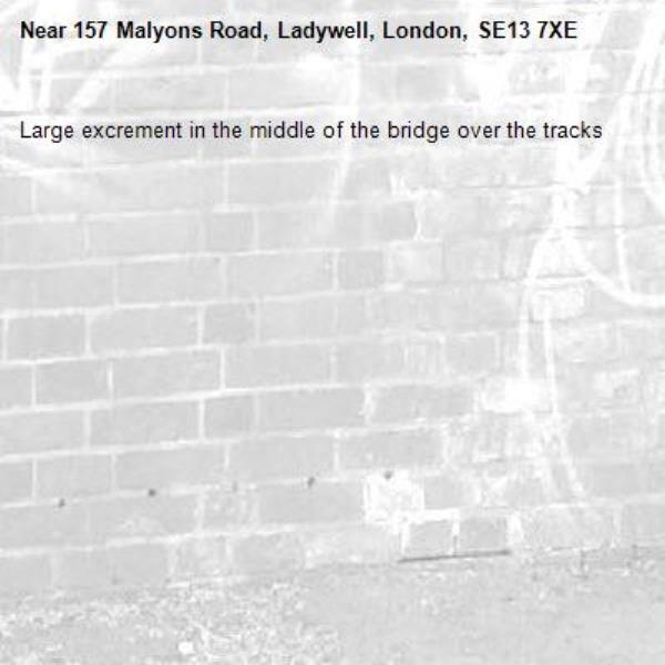 Large excrement in the middle of the bridge over the tracks-157 Malyons Road, Ladywell, London, SE13 7XE