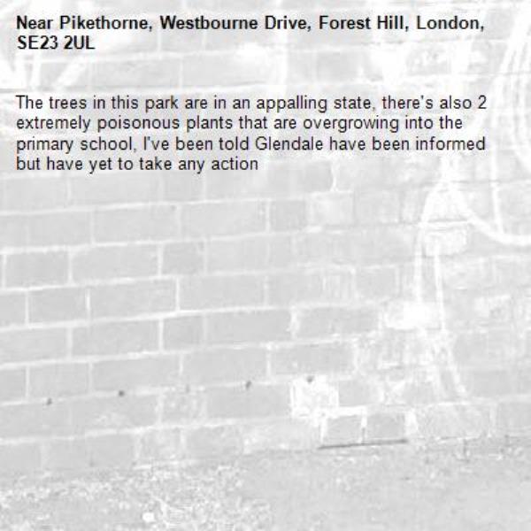 The trees in this park are in an appalling state, there's also 2 extremely poisonous plants that are overgrowing into the primary school, I've been told Glendale have been informed but have yet to take any action-Pikethorne, Westbourne Drive, Forest Hill, London, SE23 2UL