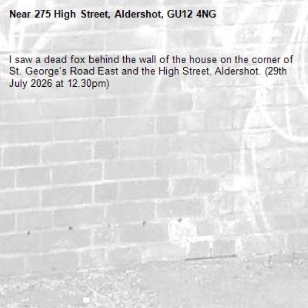 I saw a dead fox behind the wall of the house on the corner of St. George’s Road East and the High Street, Aldershot. (29th July 2026 at 12.30pm) -275 High Street, Aldershot, GU12 4NG