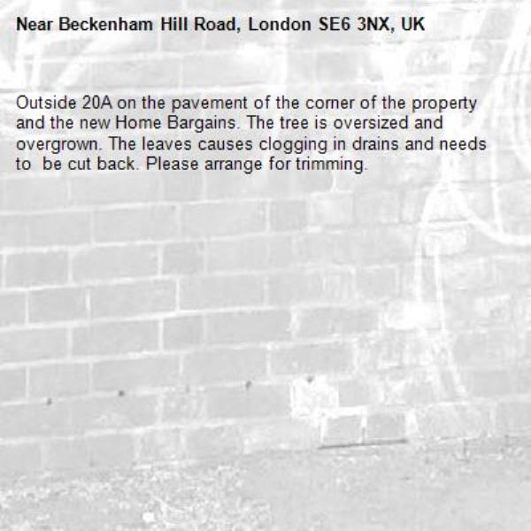 Outside 20A on the pavement of the corner of the property and the new Home Bargains. The tree is oversized and overgrown. The leaves causes clogging in drains and needs to  be cut back. Please arrange for trimming.-Beckenham Hill Road, London SE6 3NX, UK