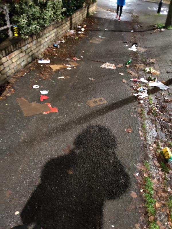 Side road leading to Romford Road is filthy-48 Windsor Road, Forest Gate North, E7 0QY, England, United Kingdom
