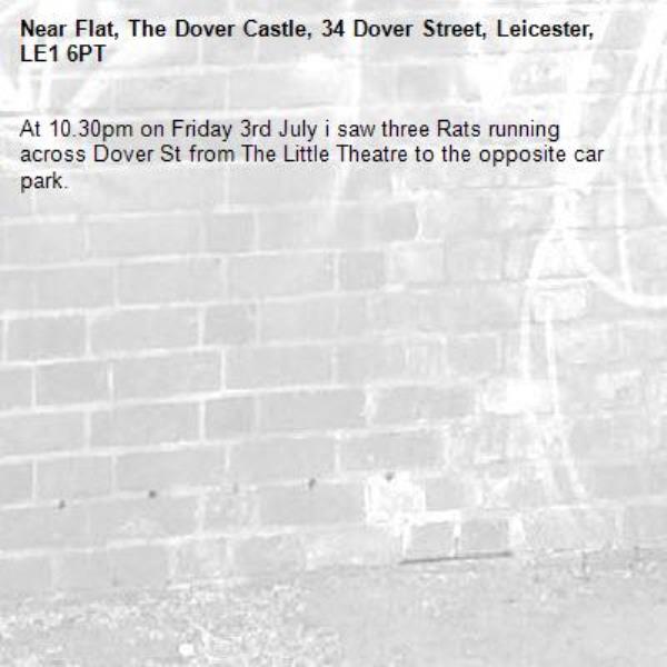 At 10.30pm on Friday 3rd July i saw three Rats running across Dover St from The Little Theatre to the opposite car park. -Flat, The Dover Castle, 34 Dover Street, Leicester, LE1 6PT
