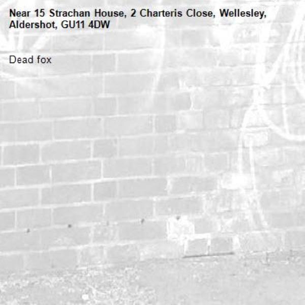 Dead fox-15 Strachan House, 2 Charteris Close, Wellesley, Aldershot, GU11 4DW