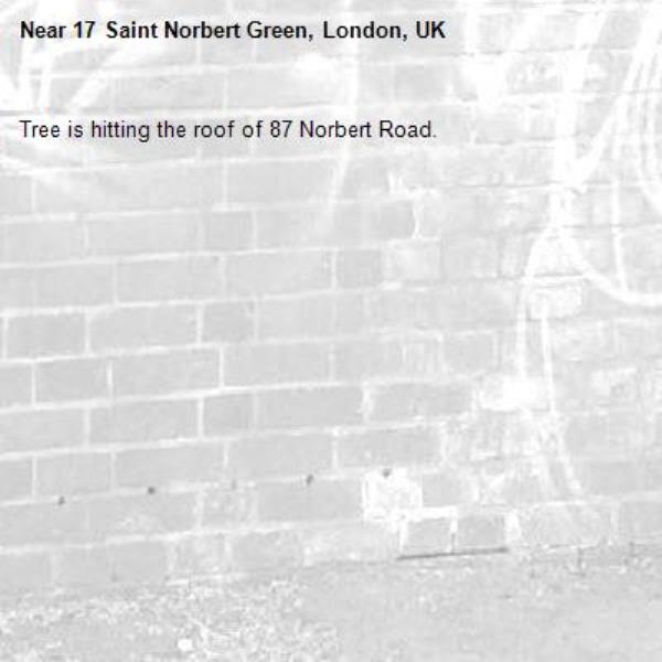 Tree is hitting the roof of 87 Norbert Road.-17 Saint Norbert Green, London, UK