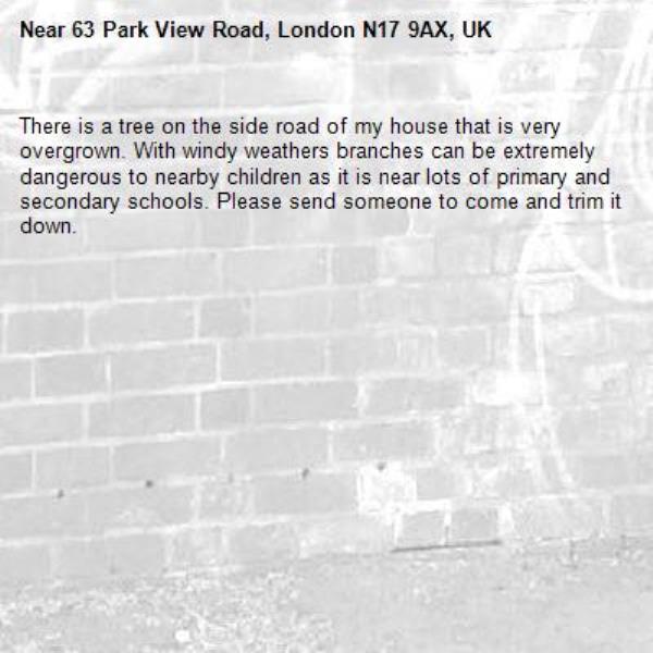 There is a tree on the side road of my house that is very overgrown. With windy weathers branches can be extremely dangerous to nearby children as it is near lots of primary and secondary schools. Please send someone to come and trim it down.-63 Park View Road, London N17 9AX, UK