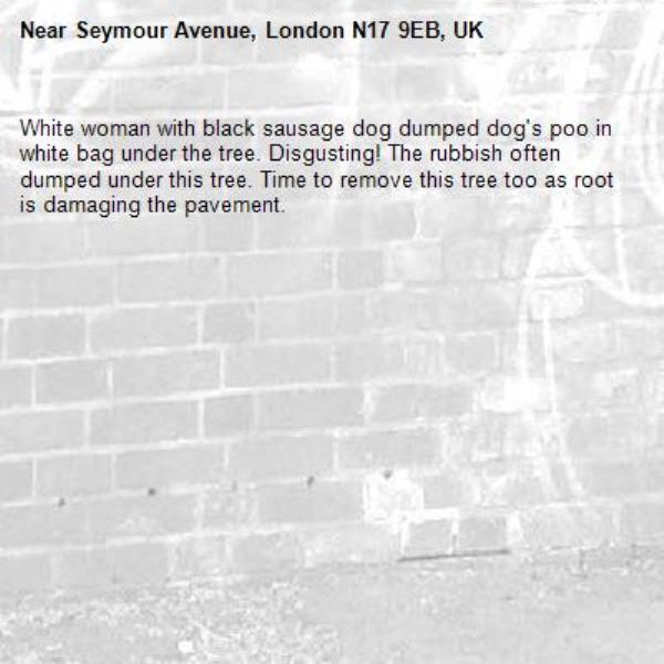 White woman with black sausage dog dumped dog's poo in white bag under the tree. Disgusting! The rubbish often dumped under this tree. Time to remove this tree too as root is damaging the pavement. -Seymour Avenue, London N17 9EB, UK