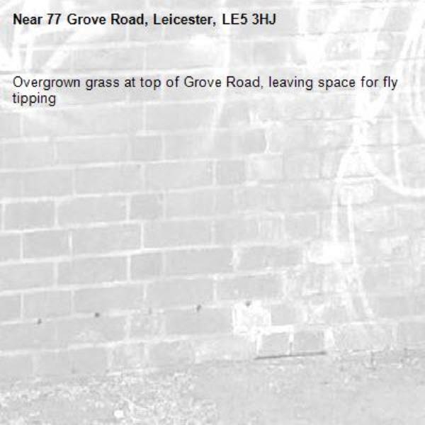 Overgrown grass at top of Grove Road, leaving space for fly tipping -77 Grove Road, Leicester, LE5 3HJ