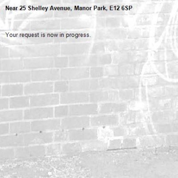 Your request is now in progress.-25 Shelley Avenue, Manor Park, E12 6SP