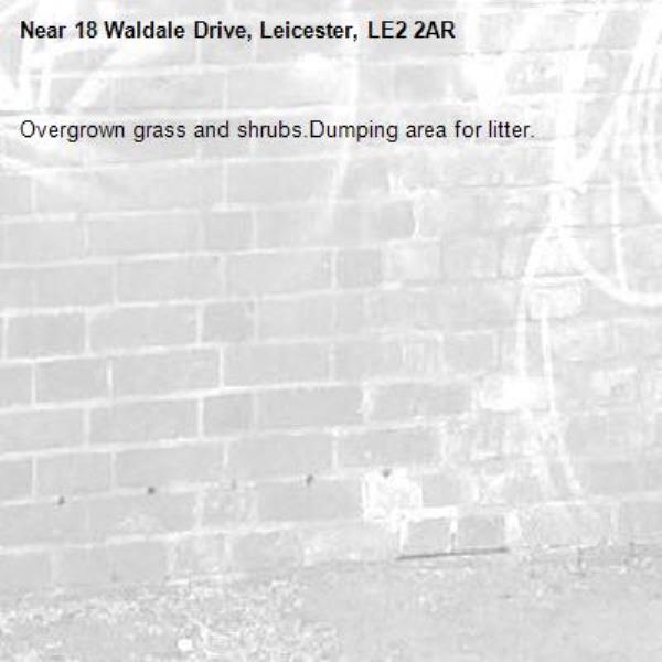 Overgrown grass and shrubs.Dumping area for litter.-18 Waldale Drive, Leicester, LE2 2AR